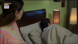 Dil-e-Veeran Episode 41 - 20th Jul 2022